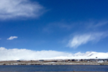 木質(zhì)素、木質(zhì)素磺酸鹽、木質(zhì)素磺酸鈉有什么區(qū)別